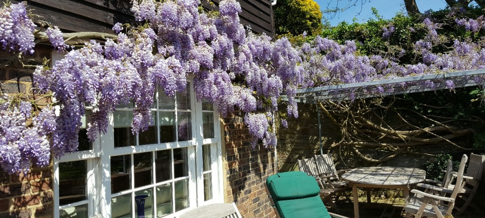 photo: hanging flowers over patio seating area